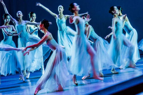 曼舞長寧 兒童舞蹈精品專場的藝術(shù)魅力與服務(wù)特色